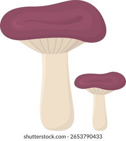 Cogumelo Russula isolado em fundo branco. Cogumelo roxo comestível bonito 