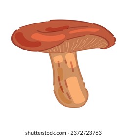 Russula mushroom on white background