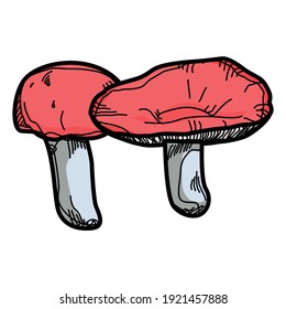 Russula mushroom, Set of Russula mushroom on white background. Russula mushroom vector illustration.