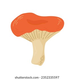 Russula mushroom vector illustration. Edible mushrooms in forests