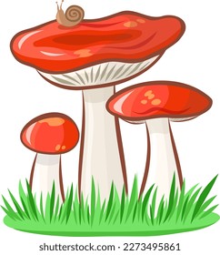 Russula mushroom vector image without background