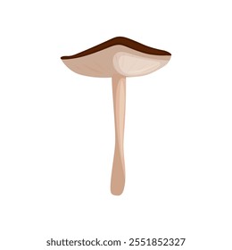 Russula on a white background vector illustration