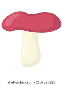 Russula wild edible mushroom in flat style, element growing in forest for education or design vector illustration