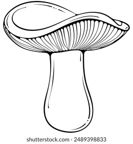 Russula or woolly milkcap mushroom. Forest autumn edible mushroom. Vector illustration in hand drawn sketch doodle style. Line art graphic isolated on white for coloring book, print