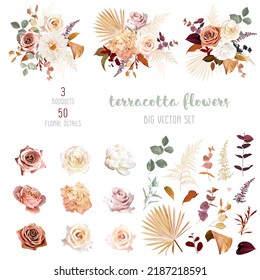 Rust orange, beige, white rose, burgundy anthurium flower, pampas grass, fern, dried palm leaves vector design big set.Trendy flowers. Gold, brown, rust, taupe. Elements are isolated and editable Stock Vector