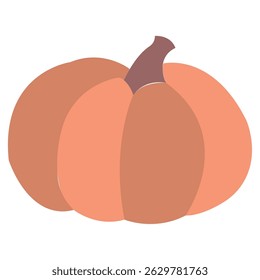 Rust orange squash drawing. Vector illustration