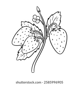 Rust strawberries with berries and flowers. Doodle illustration on white background.