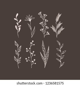 Rustic art. Chalkboard style elements. Flowers, nature, vector handwritten illustration. 