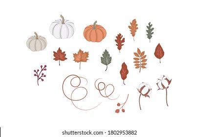 Rustic Autumn Botany Elements Set, Fall Pumpkins, Leaves, Cotton Decorative set Vector Illustration. 