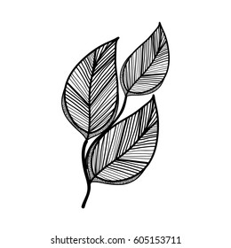 rustic branch leaves decoration