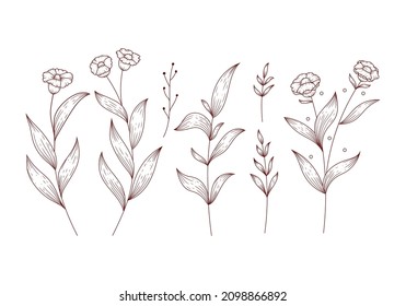 Flor castellana y hojas florales aisladas de clípart vectorial conjunto