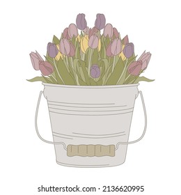 rustic bucket with tulip flower, vector
