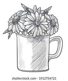 Rustic composition and arrangement of flowers in cup, blooming chamomile in mug. Isolated icon of herbal plants used for tea and medicine. Tasty beverage. Monochrome sketch outline, vector in flat