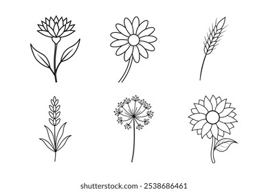 Rustic Country Flowers Line Art Bundle – Sunflower, Lavender, Wheat Stalk, Cornflower, and More