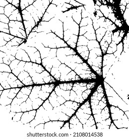 Rustic cracked vector texture with many cracks and scratches. Abstract background. Broken and damaged surface. Aged backdrop. Vector graphic illustration with transparent white. EPS10.