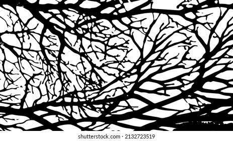 Rustic cracked vector texture with many cracks and scratches. Abstract background. Broken and damaged surface. Aged backdrop. Vector graphic illustration with transparent white. EPS10.