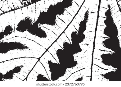 Rustic cracked vector texture with many cracks and scratches. Abstract background. Broken and damaged surface. Aged backdrop. Vector graphic illustration with transparent white. EPS10.