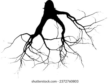 Rustic cracked vector texture with many cracks and scratches. Abstract background. Broken and damaged surface. Aged backdrop. Vector graphic illustration with transparent white. EPS10.