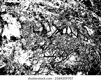 Rustic cracked vector texture with many cracks and scratches. Abstract background. Broken and damaged surface. Aged backdrop. Vector graphic illustration with transparent white. EPS10.