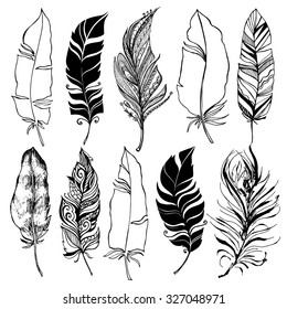 Rustic decorative feathers collection. Hand drawn vintage design set - vector illustration