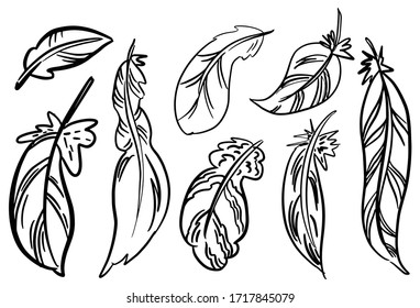 Rustic decorative feathers. Hand drawn vintage vector design set. sketch. Simple elegant graphical template design. Doodle Icon style illustration. wrapping paper, textiles, card, invitation, holiday
