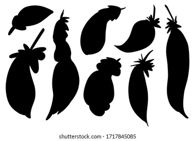 Rustic decorative feathers. Hand drawn vintage vector design set. sketch. Simple elegant graphical template design. Doodle Icon style illustration. wrapping paper, textiles, card, invitation, holiday