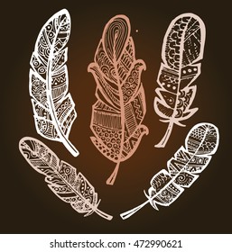 Rustic decorative feathers. Hand drawn vintage vector design set. Vector illustration