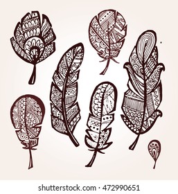 Rustic decorative feathers. Hand drawn vintage vector design set. Vector illustration