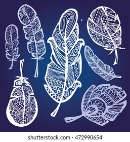 Rustic decorative feathers. Hand drawn vintage vector design set. Vector illustration