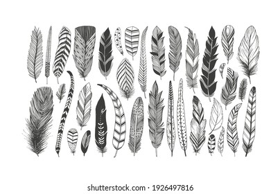 Rustic decorative feathers vector collection. Hand drawn black tribal bird feathers. Ink illustration isolated on white background. Ethnic boho style hand drawing. Outlined graphic ornament.