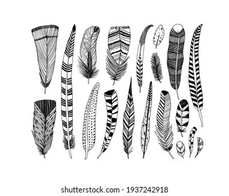 Rustic decorative feathers vector collection. Hand drawn black tribal bird feathers. Ink illustration isolated on white background. Ethnic boho style hand drawing. Outlined graphic ornament.