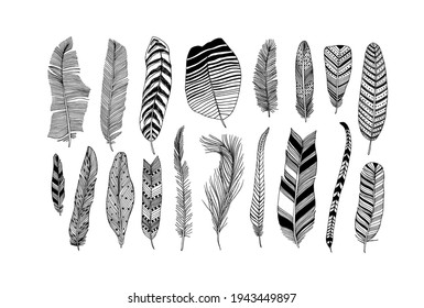 Rustic decorative feathers vector collection. Hand drawn black tribal bird feathers. Ink illustration isolated on white background. Ethnic boho style hand drawing. Outlined graphic ornament.