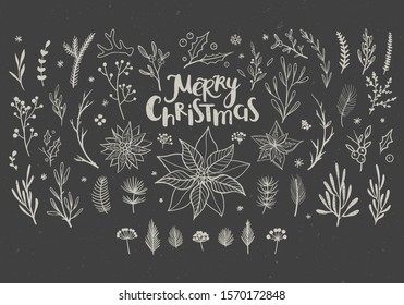 Rustic decorative floral elements for Christmas. Vector botanical elements for winter seasonal decorations. 