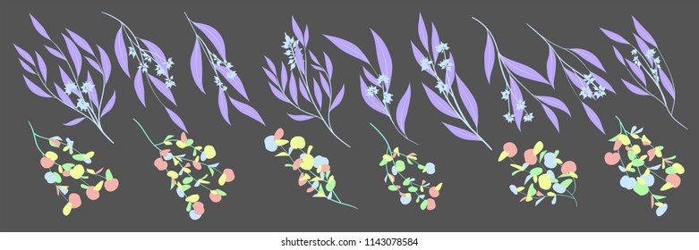 Rustic Decorative Plants Collection. Hand Drawn Eucalyptus Leaves Isolated. Vector EPS10 Illustration. Botanical Elements. Exotic Tropical Foliage and Flowers. Decorative Plants Set for Wedding Design