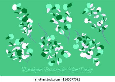 Rustic Decorative Plants Collection. Hand Drawn Eucalyptus Leaves Isolated. Vector EPS10 Illustration. Botanical Elements. Exotic Tropical Foliage and Flowers. Decorative Plants Set for Wedding Design