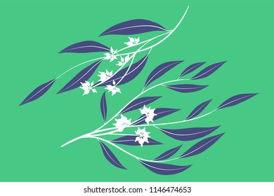 Rustic Decorative Plants Collection. Hand Drawn Eucalyptus Leaves Isolated. Vector EPS10 Illustration. Botanical Elements. Exotic Tropical Foliage and Flowers. Decorative Plants Set for Wedding Design