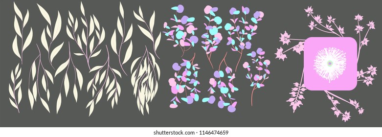 Rustic Decorative Plants Collection. Hand Drawn Eucalyptus Leaves Isolated. Vector EPS10 Illustration. Botanical Elements. Exotic Tropical Foliage and Flowers. Decorative Plants Set for Wedding Design