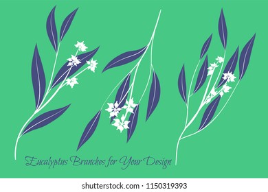 Rustic Decorative Plants Collection. Hand Drawn Eucalyptus Leaves Isolated. Vector EPS10 Illustration. Botanical Elements. Exotic Tropical Foliage and Flowers. Decorative Plants Set for Wedding Design