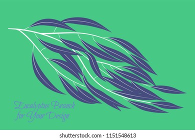 Rustic Decorative Plants Collection. Hand Drawn Eucalyptus Leaves Isolated. Vector EPS10 Illustration. Botanical Elements. Exotic Tropical Foliage and Flowers. Decorative Plants Set for Wedding Design