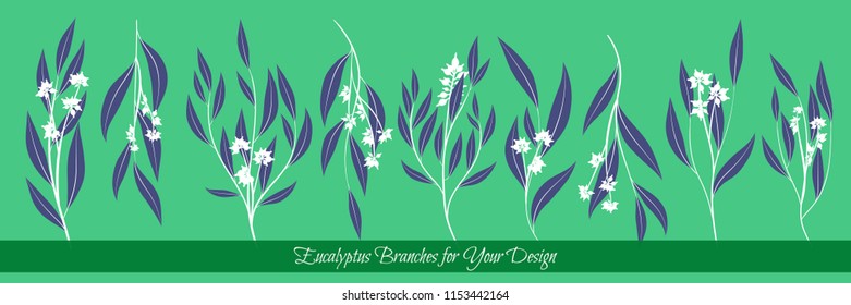 Rustic Decorative Plants Collection. Hand Drawn Eucalyptus Leaves Isolated. Vector EPS10 Illustration. Botanical Elements. Exotic Tropical Foliage and Flowers. Decorative Plants Set for Wedding Design