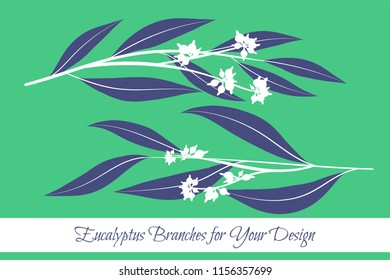 Rustic Decorative Plants Collection. Hand Drawn Eucalyptus Leaves Isolated. Vector EPS10 Illustration. Botanical Elements. Exotic Tropical Foliage and Flowers. Decorative Plants Set for Wedding Design