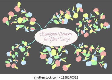 Rustic Decorative Plants Collection. Hand Drawn Eucalyptus Leaves Isolated. Vector EPS10 Illustration. Botanical Elements. Exotic Tropical Foliage and Flowers. Decorative Plants Set for Wedding Design