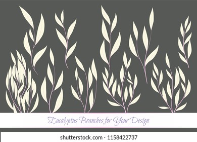 Rustic Decorative Plants Collection. Hand Drawn Eucalyptus Leaves Isolated. Vector EPS10 Illustration. Botanical Elements. Exotic Tropical Foliage and Flowers. Decorative Plants Set for Wedding Design