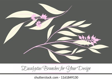 Rustic Decorative Plants Collection. Hand Drawn Eucalyptus Leaves Isolated. Vector EPS10 Illustration. Botanical Elements. Exotic Tropical Foliage and Flowers. Decorative Plants Set for Wedding Design