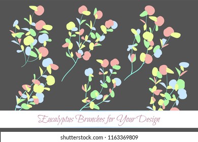 Rustic Decorative Plants Collection. Hand Drawn Eucalyptus Leaves Isolated. Vector EPS10 Illustration. Botanical Elements. Exotic Tropical Foliage and Flowers. Decorative Plants Set for Wedding Design