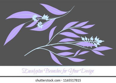 Rustic Decorative Plants Collection. Hand Drawn Eucalyptus Leaves Isolated. Vector EPS10 Illustration. Botanical Elements. Exotic Tropical Foliage and Flowers. Decorative Plants Set for Wedding Design