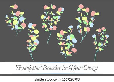 Rustic Decorative Plants Collection. Hand Drawn Eucalyptus Leaves Isolated. Vector EPS10 Illustration. Botanical Elements. Exotic Tropical Foliage and Flowers. Decorative Plants Set for Wedding Design