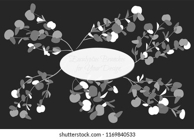 Rustic Decorative Plants Collection. Hand Drawn Eucalyptus Leaves Isolated. Vector EPS10 Illustration. Botanical Elements. Exotic Tropical Foliage and Flowers. Decorative Plants Set for Wedding Design