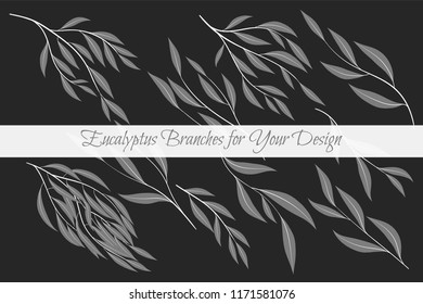 Rustic Decorative Plants Collection. Hand Drawn Eucalyptus Leaves Isolated. Vector EPS10 Illustration. Botanical Elements. Exotic Tropical Foliage and Flowers. Decorative Plants Set for Wedding Design