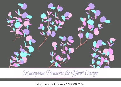 Rustic Decorative Plants Collection. Hand Drawn Eucalyptus Leaves Isolated. Vector EPS10 Illustration. Botanical Elements. Exotic Tropical Foliage and Flowers. Decorative Plants Set for Wedding Design